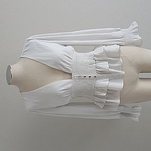 Fashion Nova blouse.szL